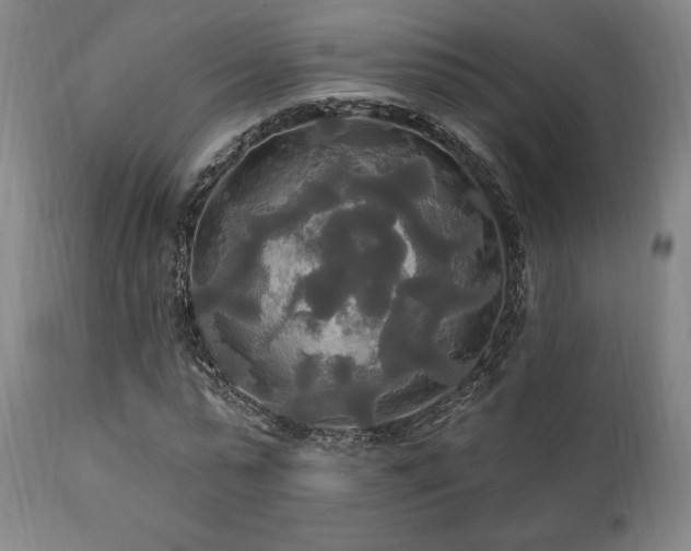 X0000111820775200907231317