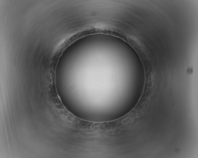 X0000111820776200907231317