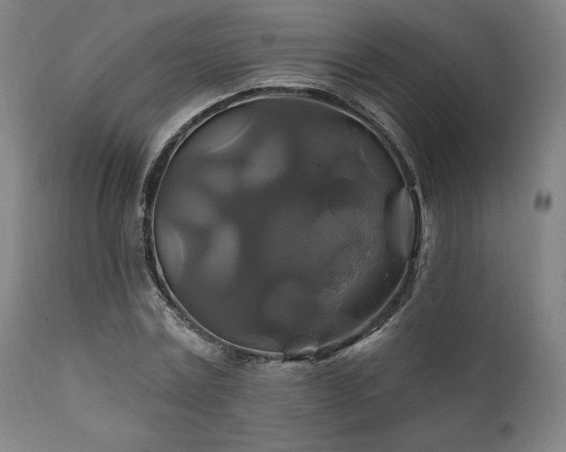 X0000111820779200907231317