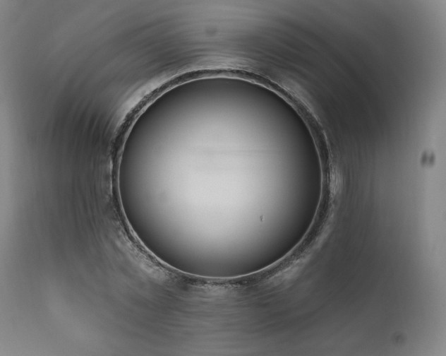 X0000111820781200907231317