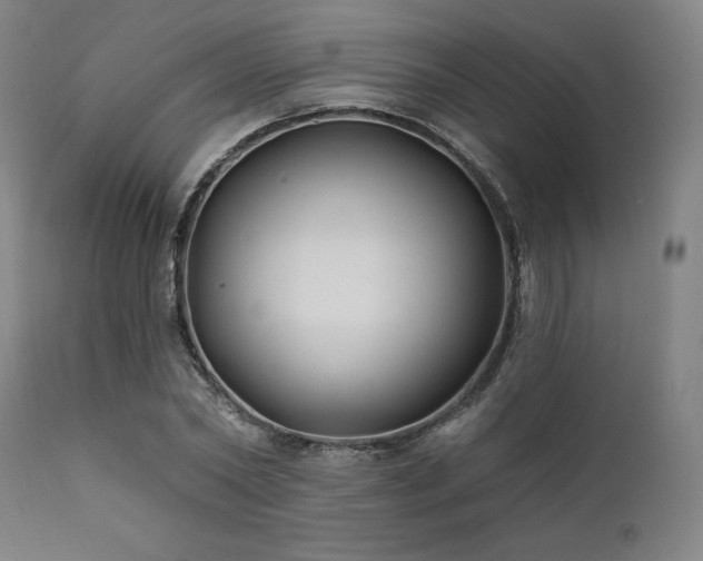 X0000111820782200907231317