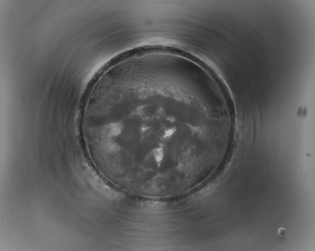 X0000111820783200907231317