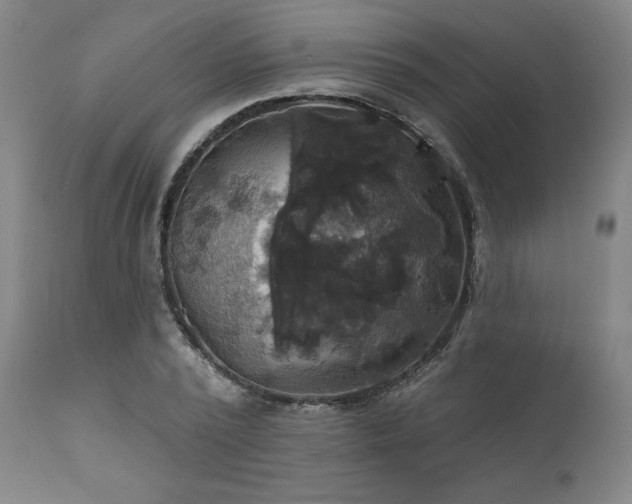 X0000111820784200907231317