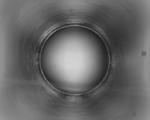 X0000111820786200907231317