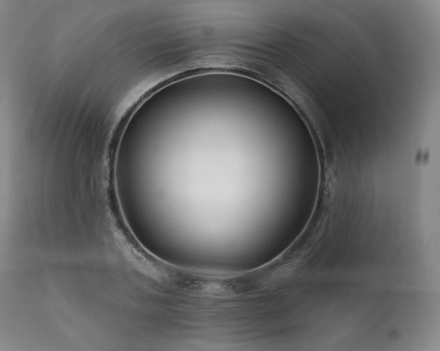 X0000111820787200907231317