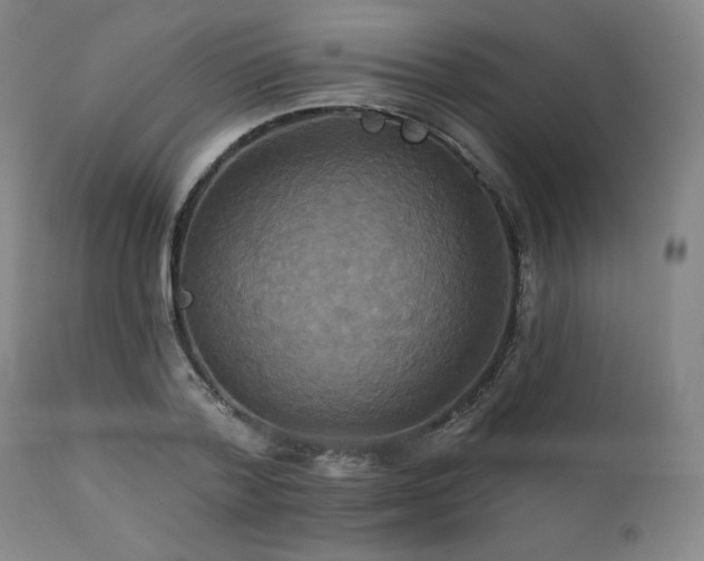 X0000111820788200907231317