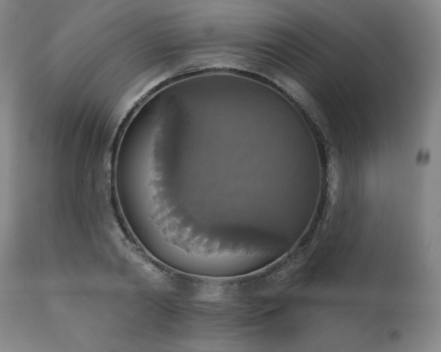 X0000111820790200907231317
