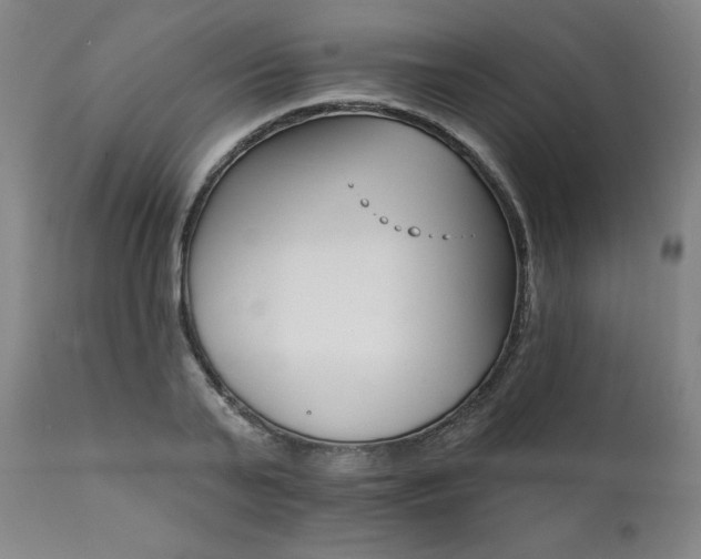 X0000111820791200907231317