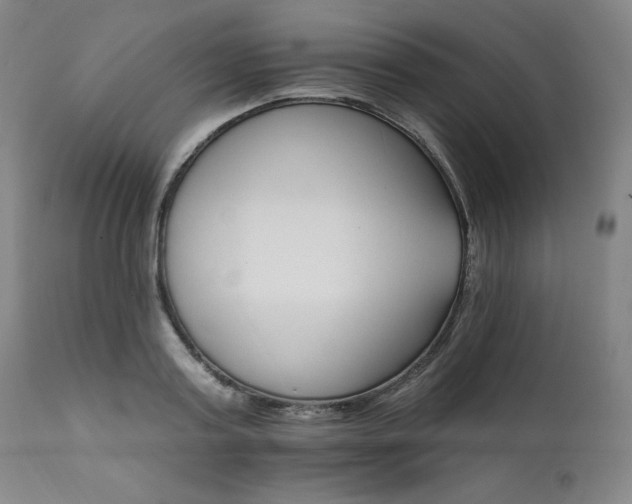 X0000111820795200907231317