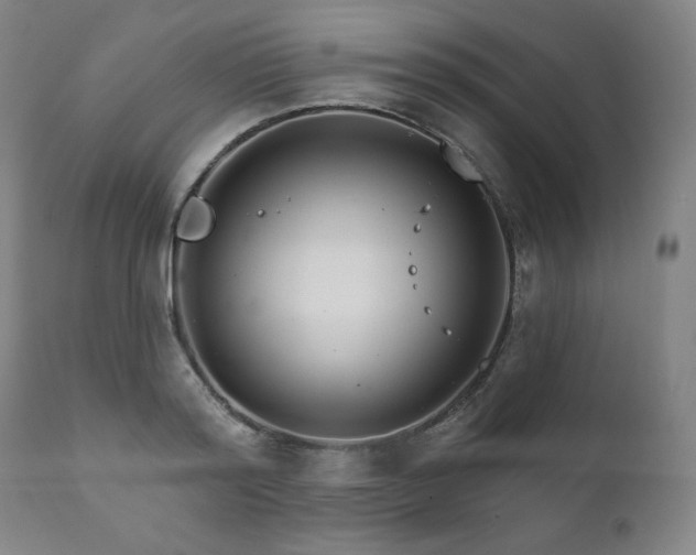 X0000111820796200907231317