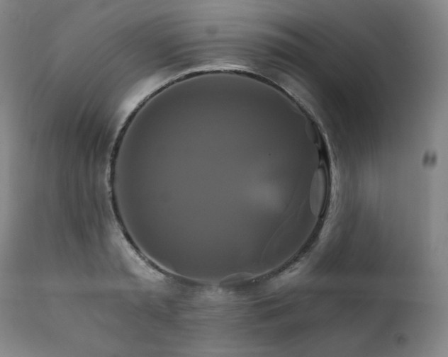 X0000111820797200907231317