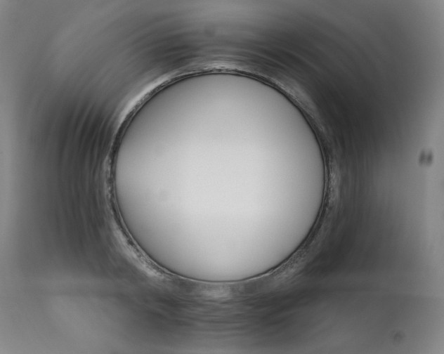 X0000111820798200907231317