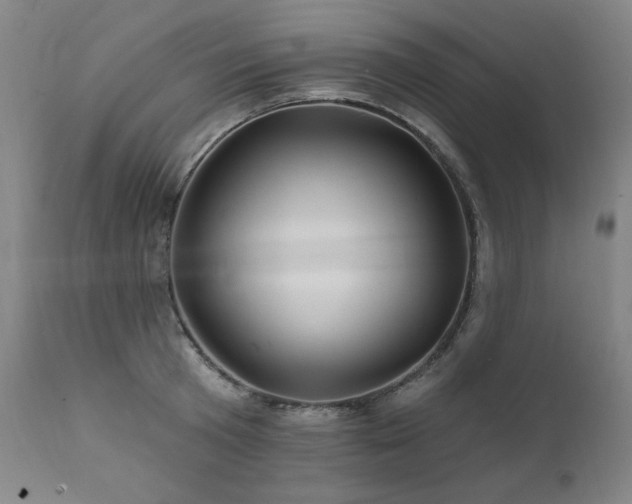 X0000111820801200907231317