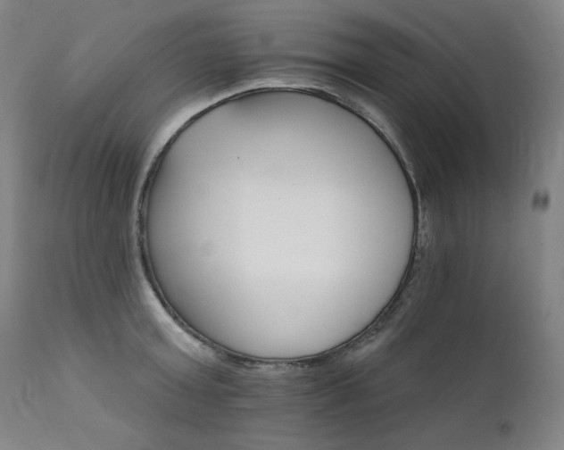 X0000111820803200907231317