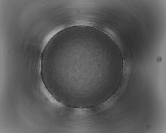 X0000111820804200907231317