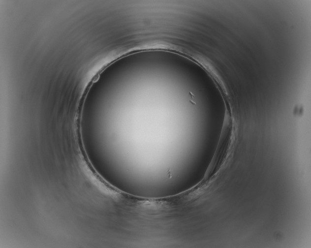 X0000111820805200907231317