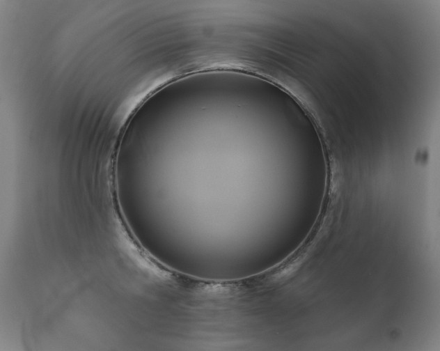 X0000111820806200907231317