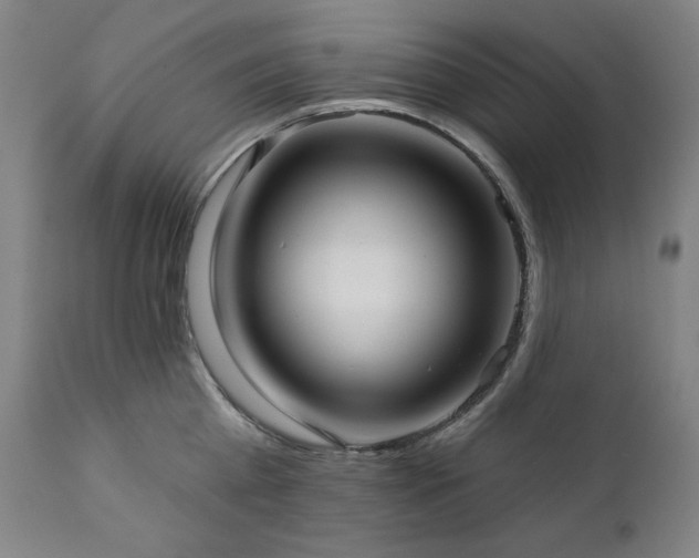 X0000111820809200907231317