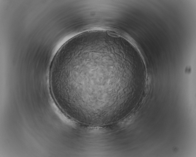 X0000111820811200907231316