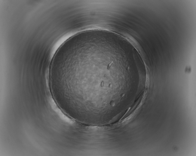 X0000111820812200907231316