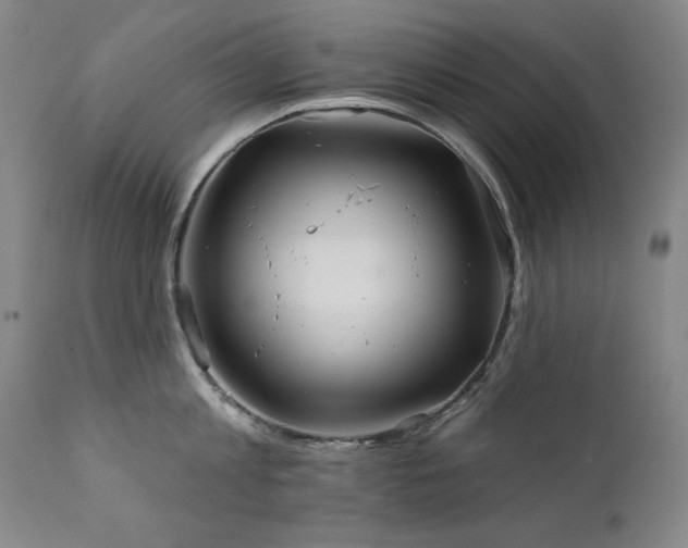 X0000111820813200907231316