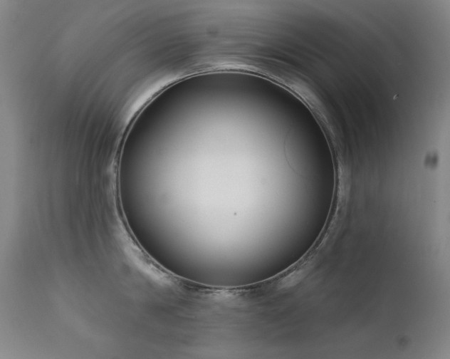 X0000111820814200907231316