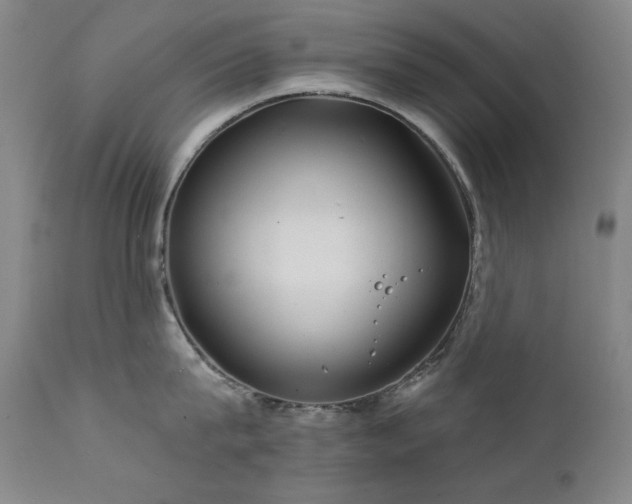 X0000111820815200907231316