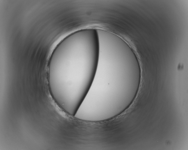 X0000111820816200907231316