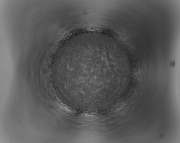X0000111820817200907231315