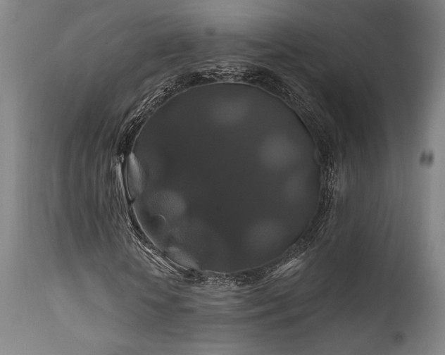 X0000111820818200907231315