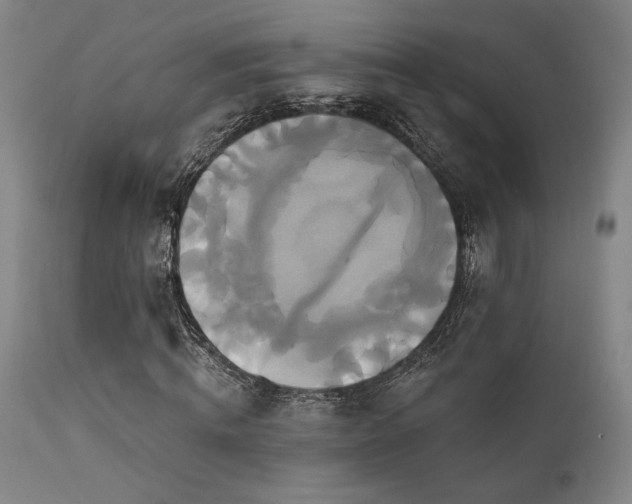 X0000111820820200907231315