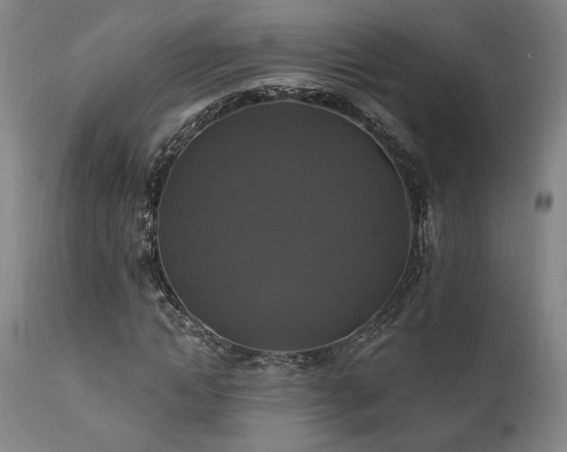 X0000111820822200907231316