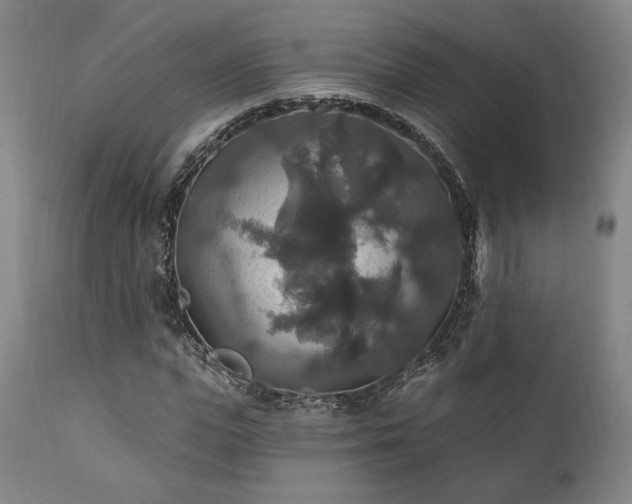 X0000111820823200907231316