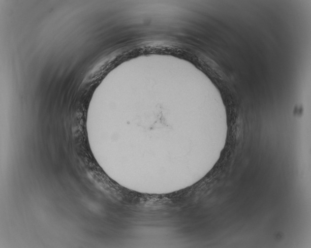 X0000111820824200907231316