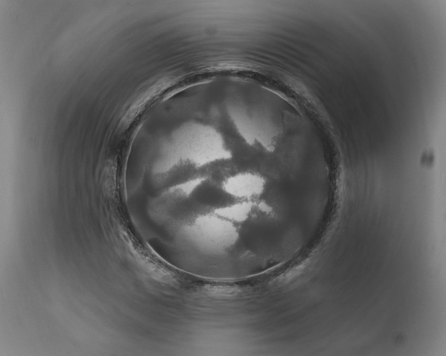 X0000111820825200907231316