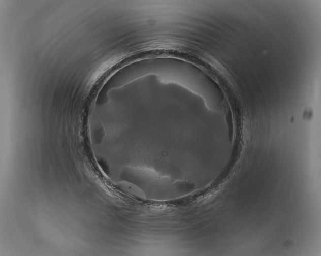 X0000111820826200907231316