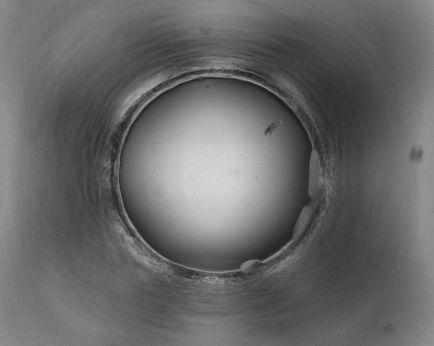 X0000111820827200907231316