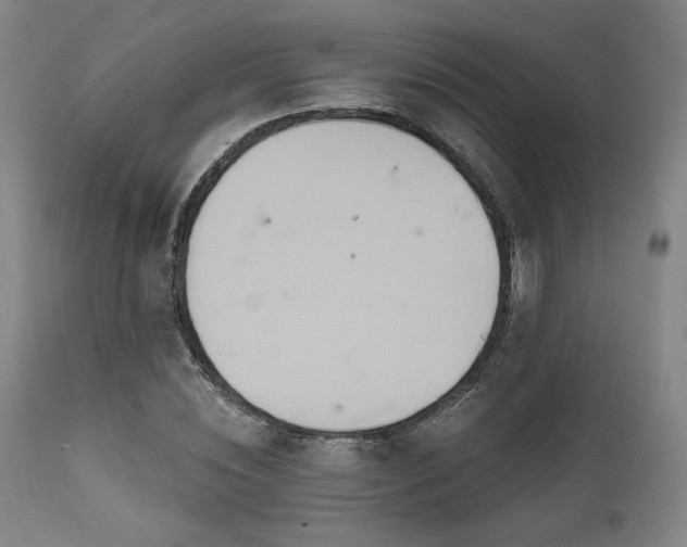 X0000111820828200907231316