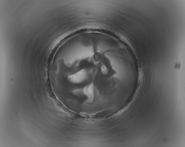 X0000111820829200907231316