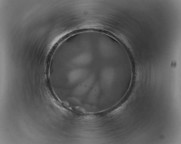 X0000111820830200907231316