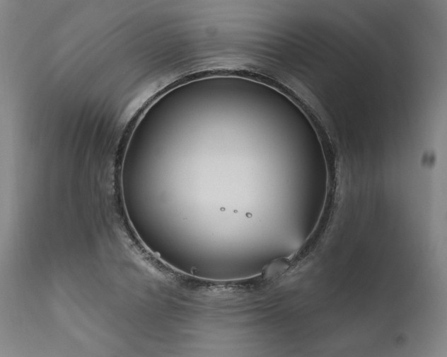 X0000111820834200907231316