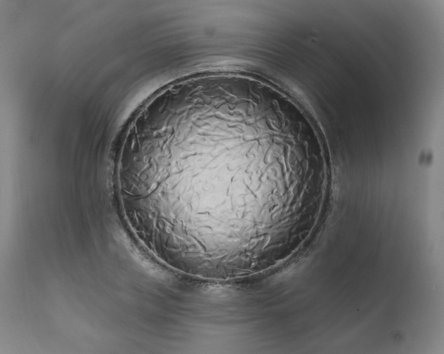 X0000111820835200907231316