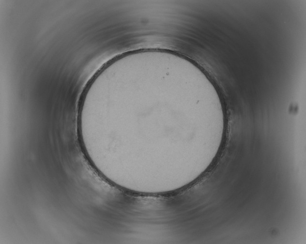 X0000111820836200907231316