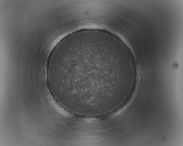 X0000111820837200907231316