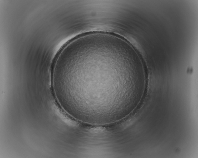 X0000111820838200907231316