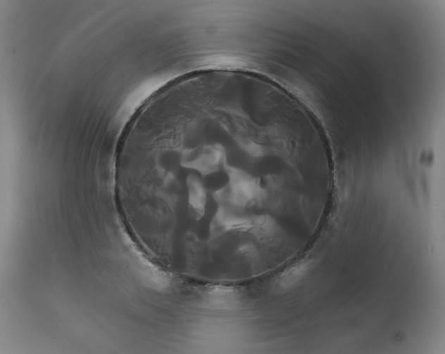X0000111820839200907231316