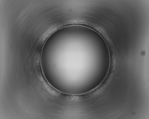 X0000111820841200907231316