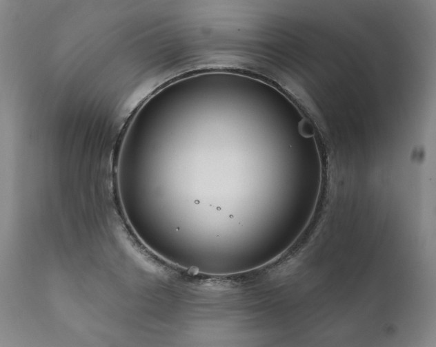 X0000111820842200907231316