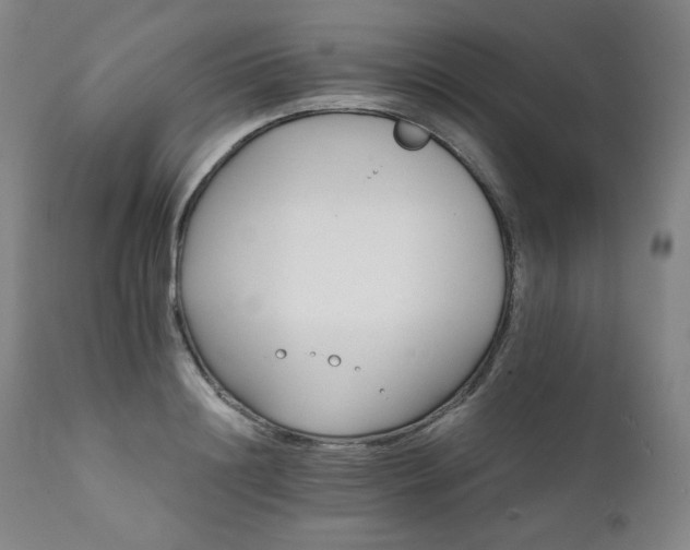 X0000111820844200907231316
