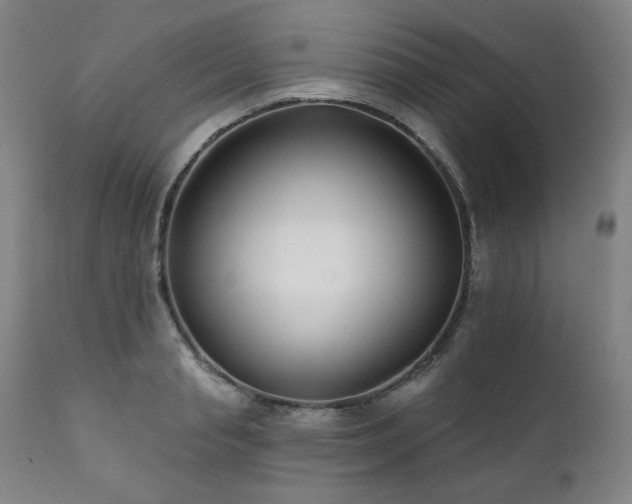 X0000111820845200907231316